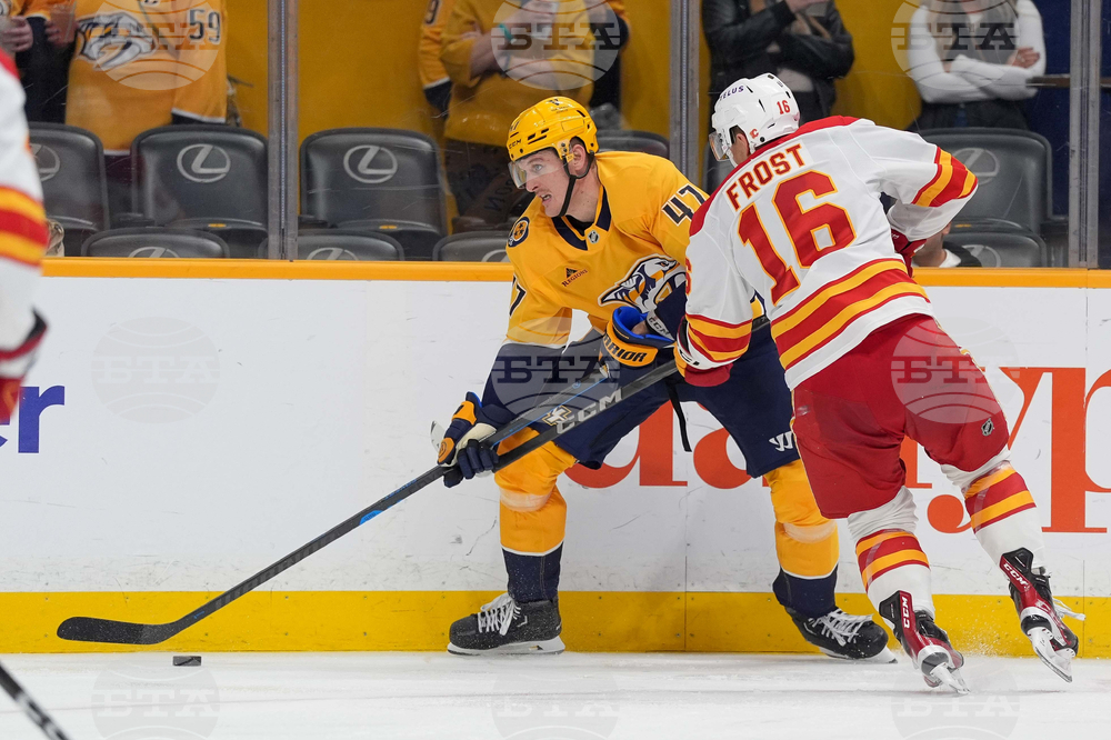 Flames Predators Hockey