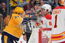 Flames Predators Hockey