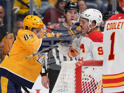 Flames Predators Hockey