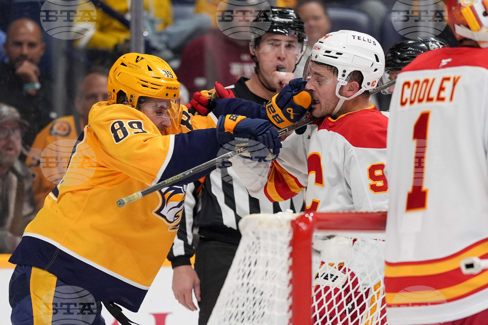 Flames Predators Hockey