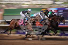 Breeders Cup Distaff Horse Racing