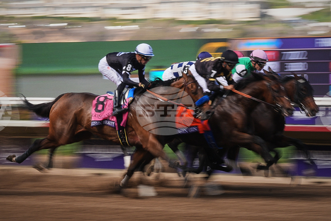 Breeders Cup Distaff Horse Racing