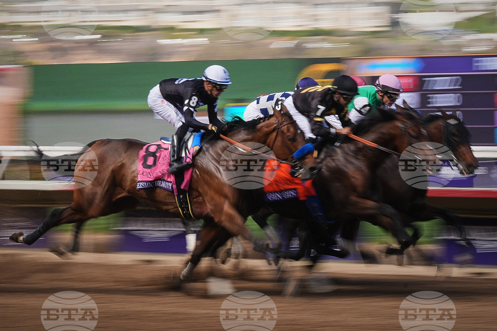 Breeders Cup Distaff Horse Racing