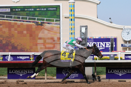 Breeders Cup Distaff Horse Racing