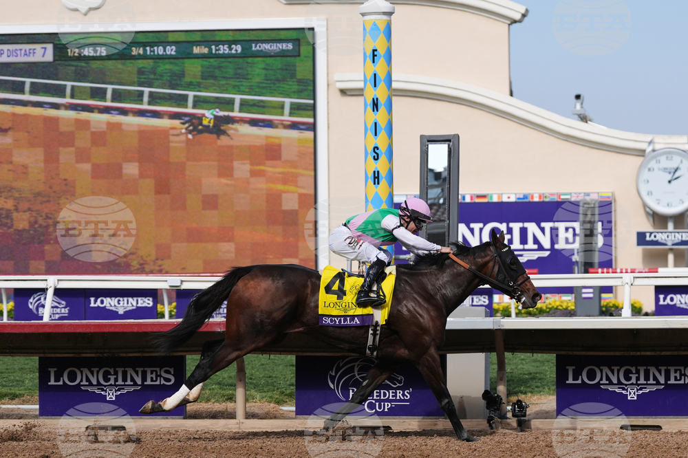 Breeders Cup Distaff Horse Racing