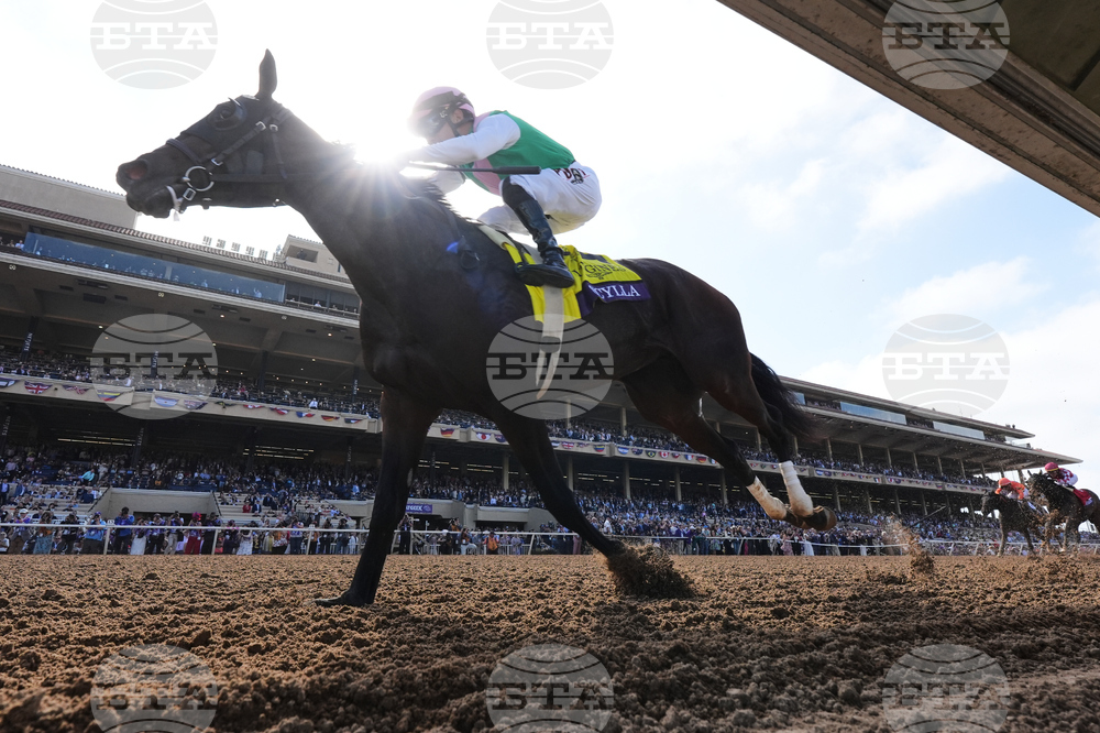 Breeders Cup Distaff Horse Racing