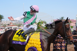 Breeders Cup Distaff Horse Racing