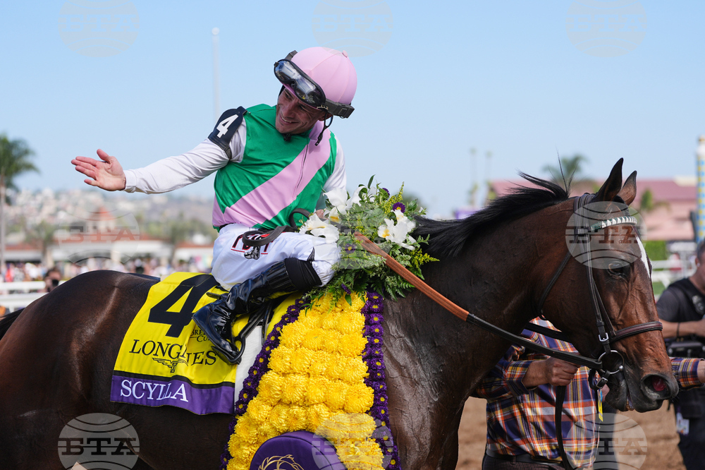 Breeders Cup Distaff Horse Racing