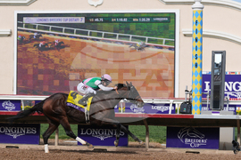 Breeders Cup Distaff Horse Racing