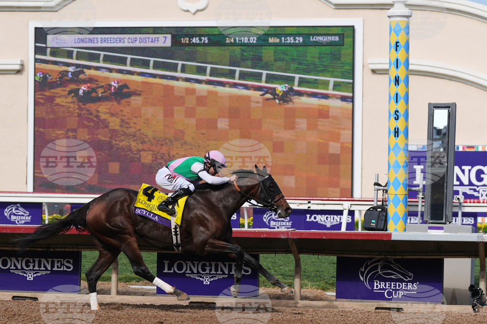 Breeders Cup Distaff Horse Racing