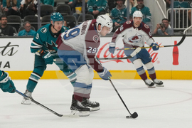 Avalanche Sharks Hockey