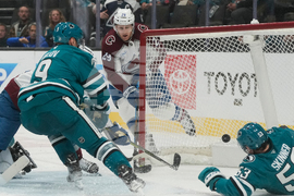Avalanche Sharks Hockey