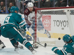 Avalanche Sharks Hockey