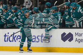 Avalanche Sharks Hockey