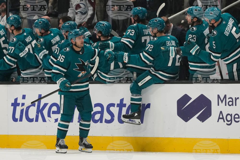 Avalanche Sharks Hockey