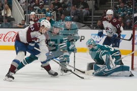 Avalanche Sharks Hockey