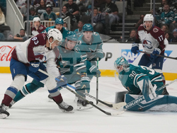 Avalanche Sharks Hockey
