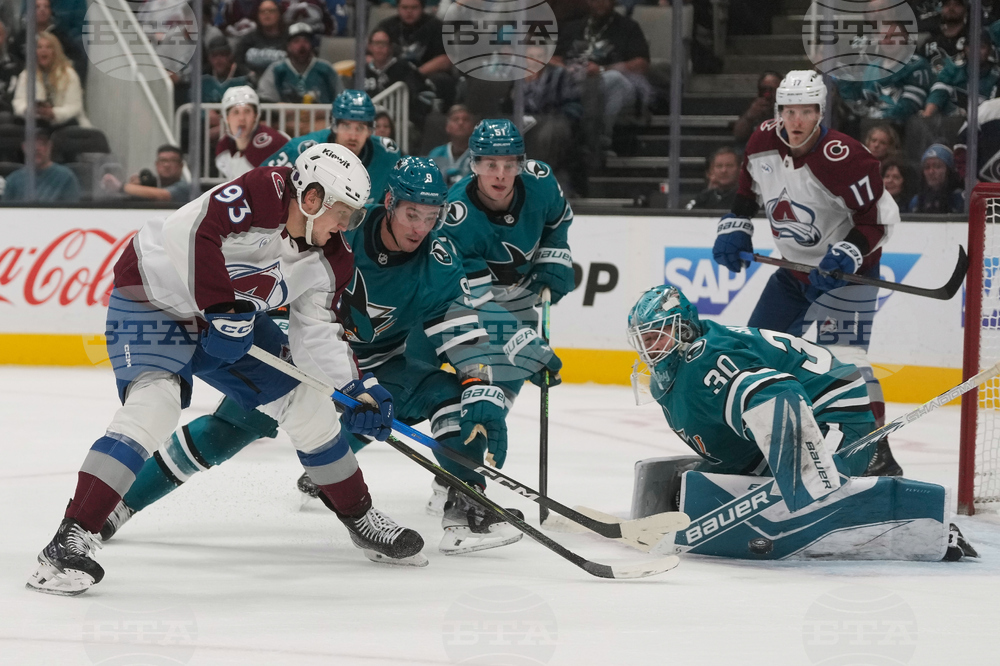 Avalanche Sharks Hockey