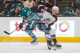 Avalanche Sharks Hockey