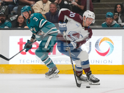 Avalanche Sharks Hockey