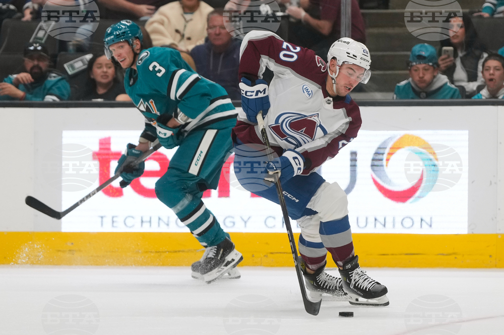 Avalanche Sharks Hockey