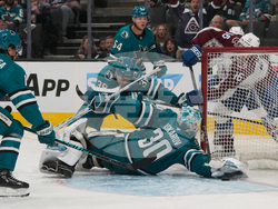 Avalanche Sharks Hockey