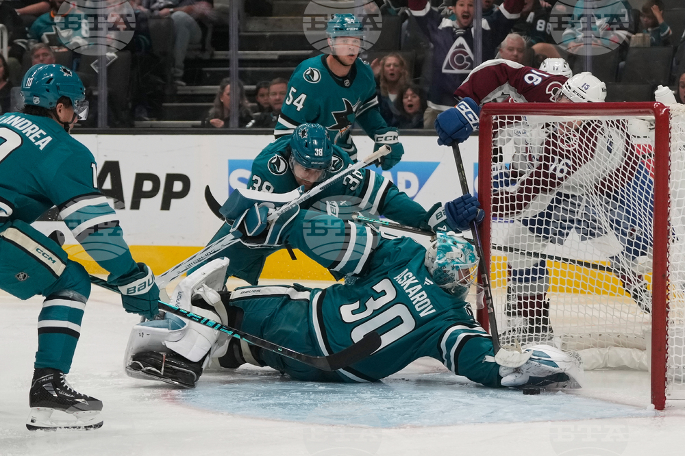 Avalanche Sharks Hockey