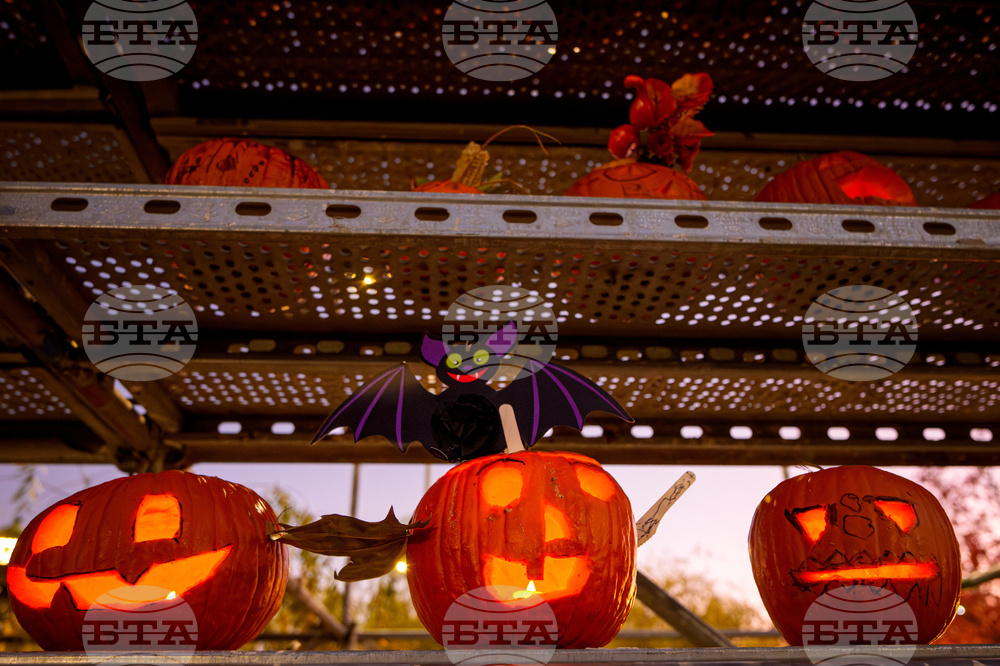 Romania Halloween Pumpkinfest