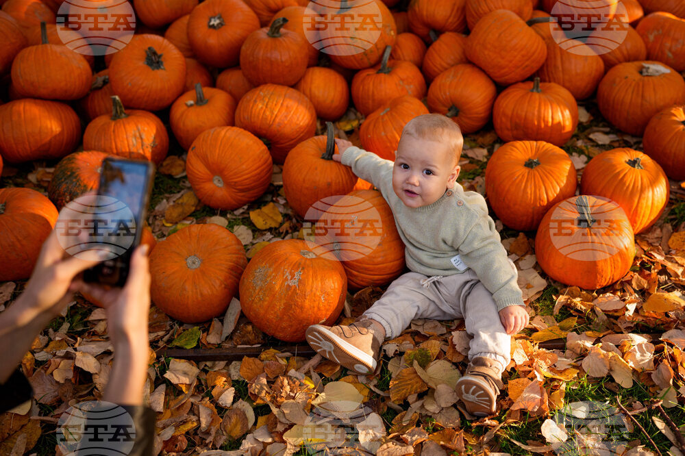 Romania Halloween Pumpkinfest
