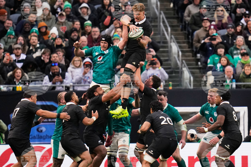 New Zealand Ireland Rugby