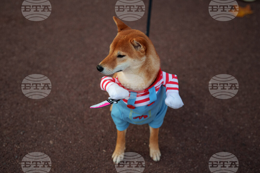 Romania Halloween Pumpkinfest