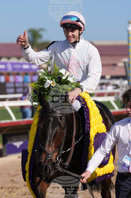 Breeders Cup Turf Horse Racing