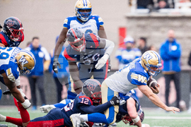 CFL Blue Bombers Alouettes Football