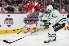 Stars Panthers Hockey