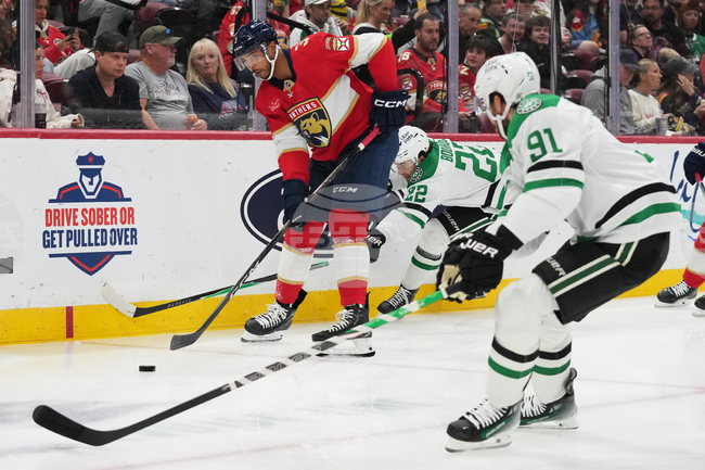 Stars Panthers Hockey