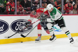 Stars Panthers Hockey