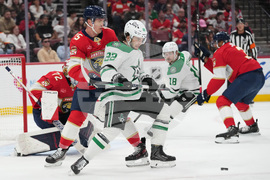 Stars Panthers Hockey