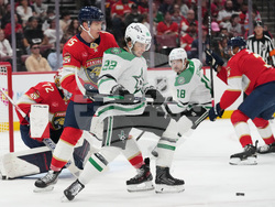 Stars Panthers Hockey