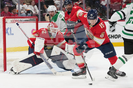 Stars Panthers Hockey