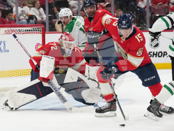 Stars Panthers Hockey