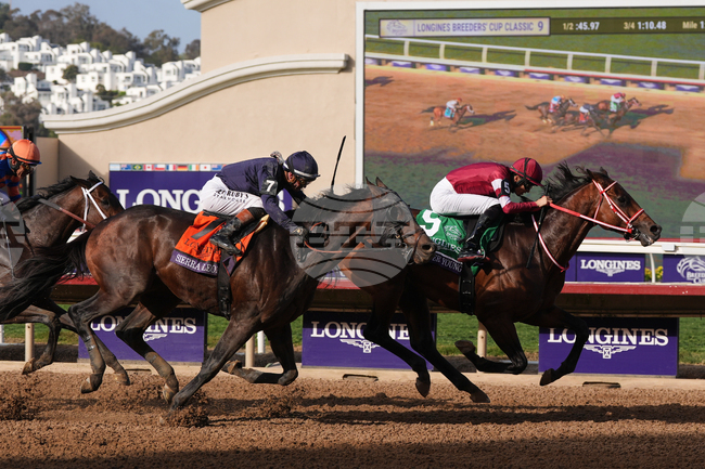 Breeders Cup Classic Horse Racing
