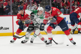 Stars Panthers Hockey