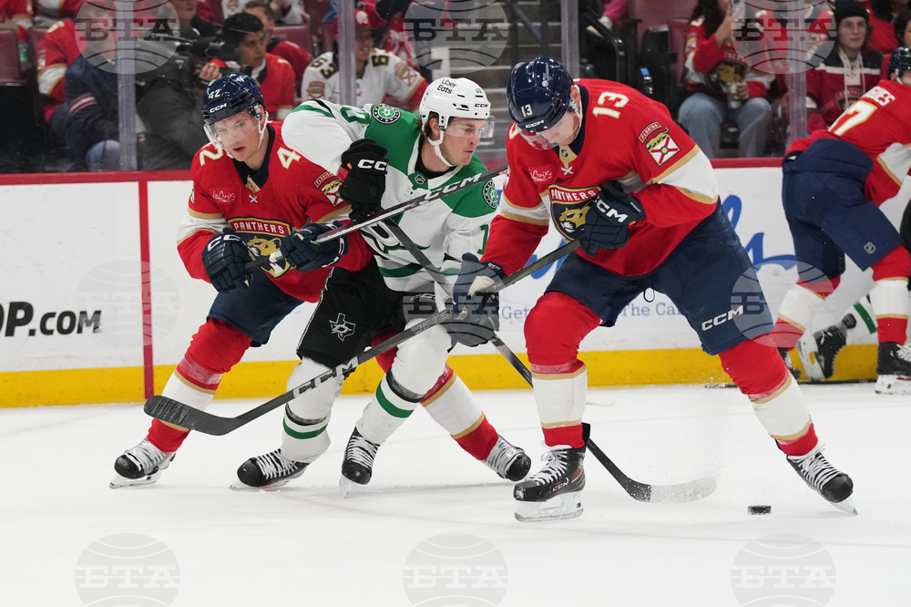 Stars Panthers Hockey