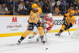 Flames Predators Hockey