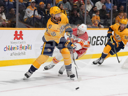 Flames Predators Hockey