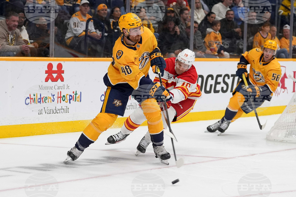 Flames Predators Hockey