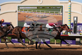 APTOPIX Breeders Cup Classic Horse Racing