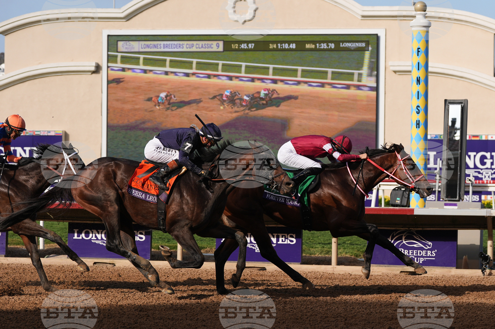 APTOPIX Breeders Cup Classic Horse Racing