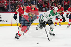 Stars Panthers Hockey