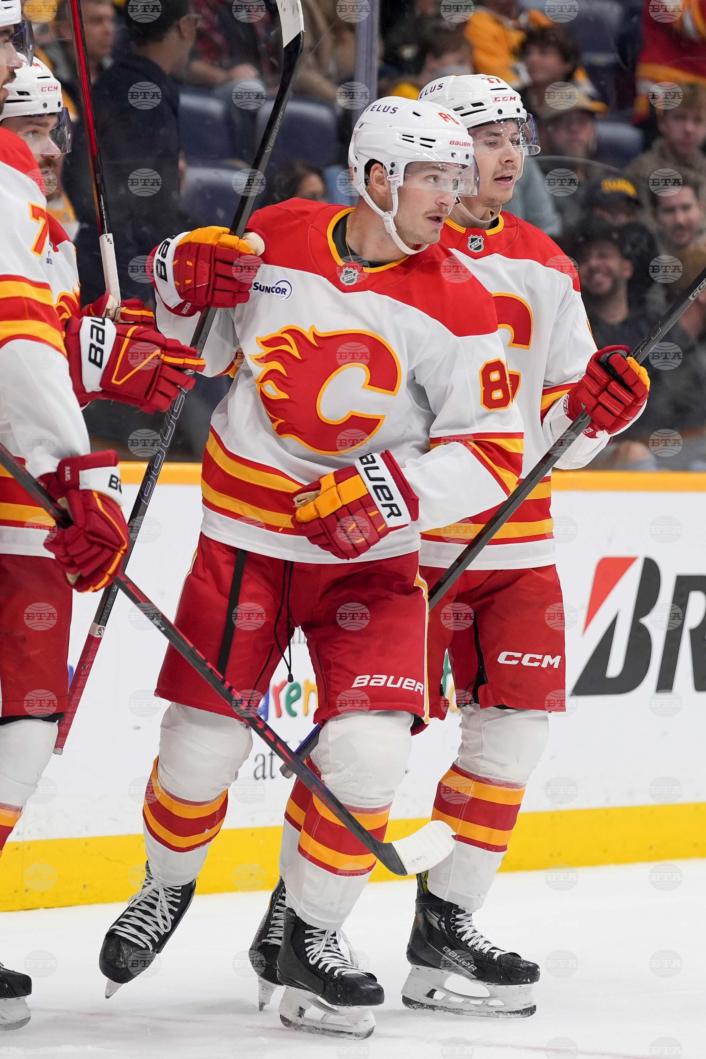 Flames Predators Hockey